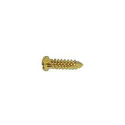 Titanium Emergency Screws