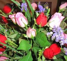 Fresh Cut Flowers - Durable Fresh Blooms in Assorted Colors | Highly Compatible and Demanded in Domestic Market