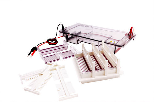 Horizontal Electrophoresis