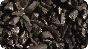 Shell Activated Carbon