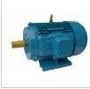Y Series Three Phase Induction Motor (Copper Wire Motor)