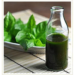 Basil Oil