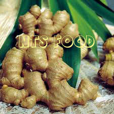 Fresh/Dried Ginger Finger