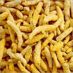 Fresh/Dried Turmeric Finger