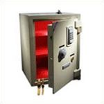 Customized Electronic Safe