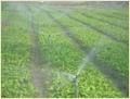 Sprinkler Irrigation System