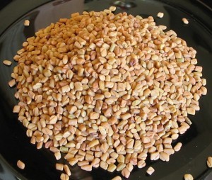 Manual Fenugreek Seeds