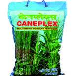 Caneplex