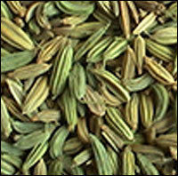 Fennal Seeds