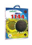 Hybrid Sunflower Mrsf 1144 Seeds