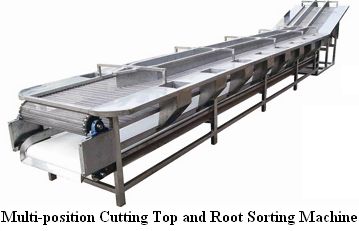 Multi-position Cutting Top And Root Sorting Machine