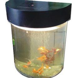 Acrylic Aquariums - Superior Quality & Versatile Shapes | Easy Moldability, Elegant Design