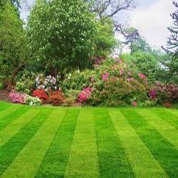 KC Landscaping Services