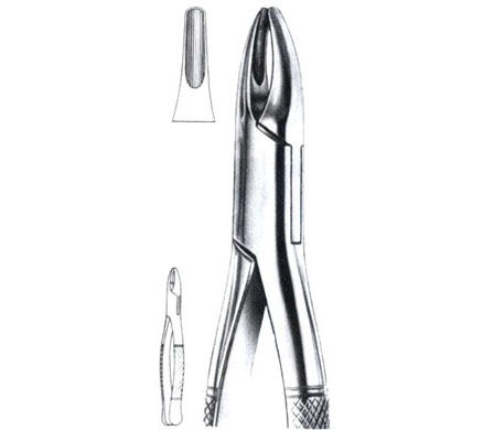 Extracting Forceps American Pattern Upper Centrals/Canine