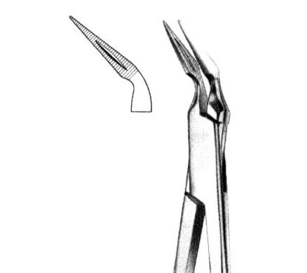 Root Splinter Forceps Root Fragments