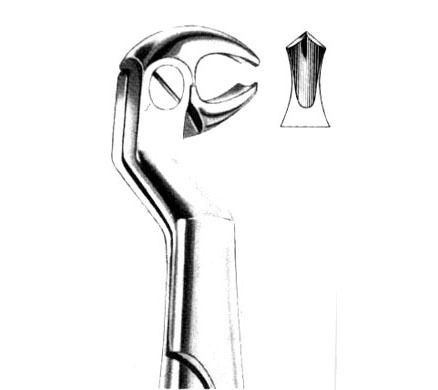 Wisdom Extracting Forceps Routurier
