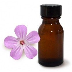 Geranium Oil - Therapeutic Essence for Mind-Body Harmony | Mood Booster, Skin Enhancer, Cellulite Reducer