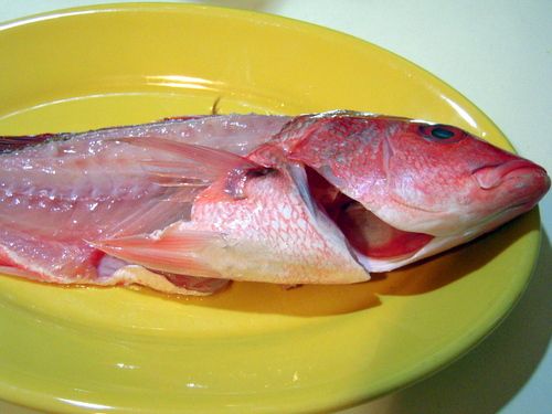 Edible Fresh Water Fish