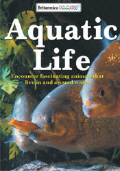 Encyclopedia Of Aquatic Animals