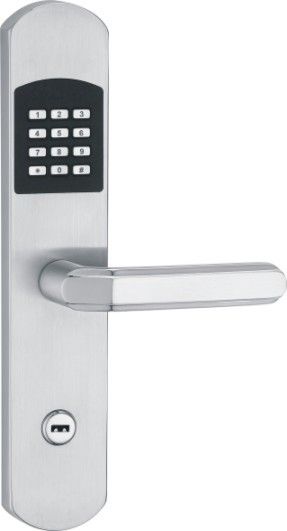 Induction and Electronic Coded Door Lock