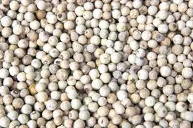 Organic White Pepper