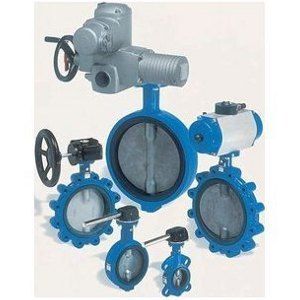 Butterfly Valve