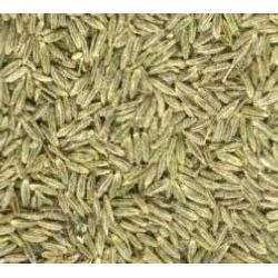 Cumin Seed