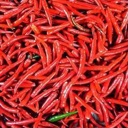 Red Chilli