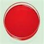 Pigment Red