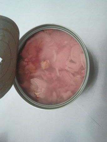 Canned Tuna