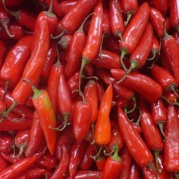 Red Chilly