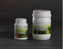 Wheatgrass Products