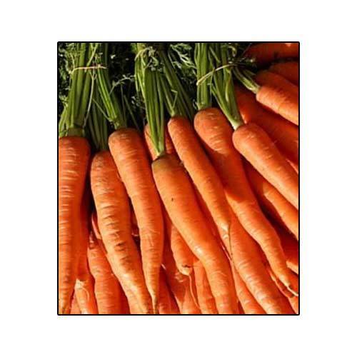 Carrots