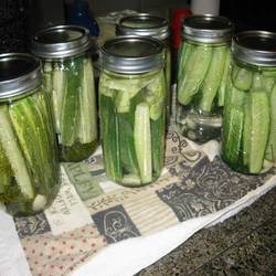 Cucumber Slices