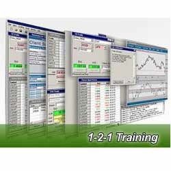 1-2-1 Training Services By Dawish Forex India Private Limited