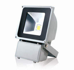 LED Flood Light