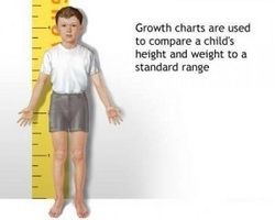 Height Chart/ Growth Chart
