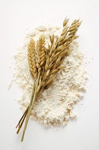 100% Pure Organic Wheat Flour