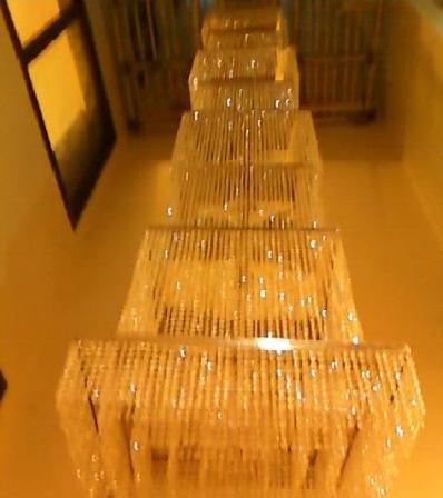 Modern Double Heights Crystal Chandeliers