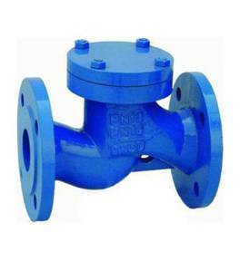 Non Return Valve