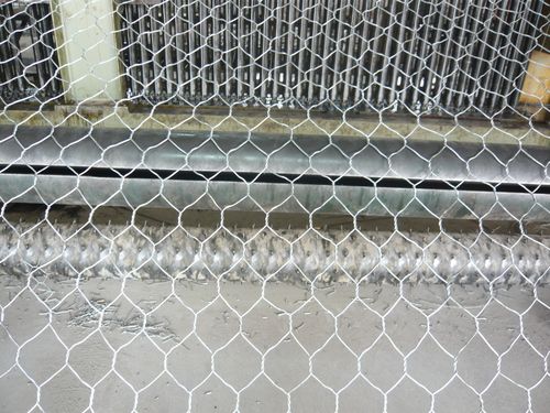 High Quality Hexagonal Wire Mesh