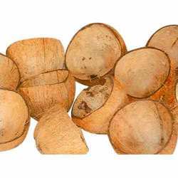 Coconut Shell - High Quality Raw Material | Superior Durability and Competitive Pricing