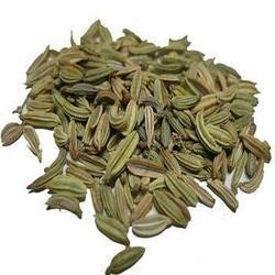 Fennel Seed