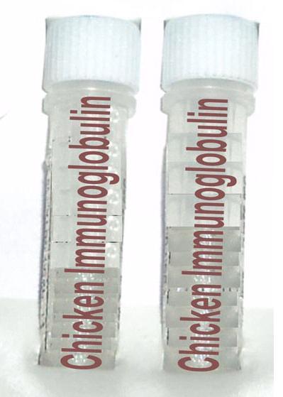 Chicken Immunoglobulin (IgY)