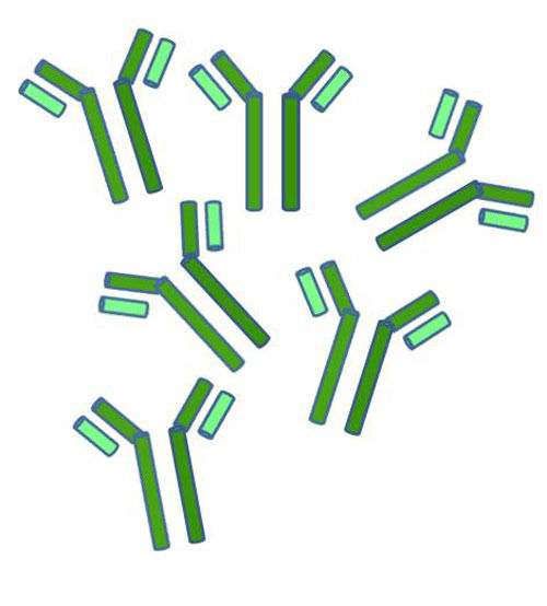 Egg Yolk Immunoglobulin