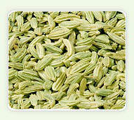 fennel powder