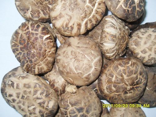 Dehydrated Shiitake Mushroom