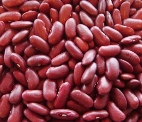 Ethiopian Pure Organic Red, White And Speckled Kidney Beans Crop