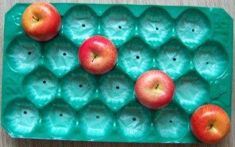  सेब के लिए 29*49cm ग्रीन 22# इको-फ्रेंडली पीपी फ्रूट पैकेजिंग ट्रे 
