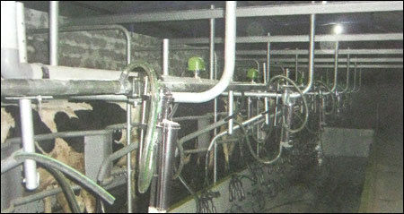 Pipeline Milking System
